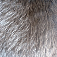 Мех искусственный длинноворсовый  в Ижевске